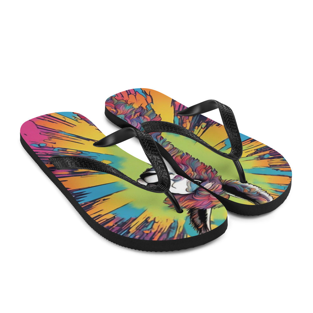 Flip-Flops